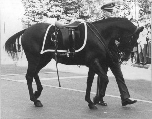 JFK Riderless Horse